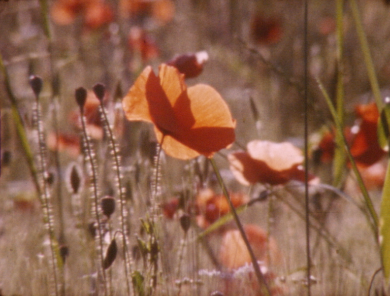 La natura dell’archivio