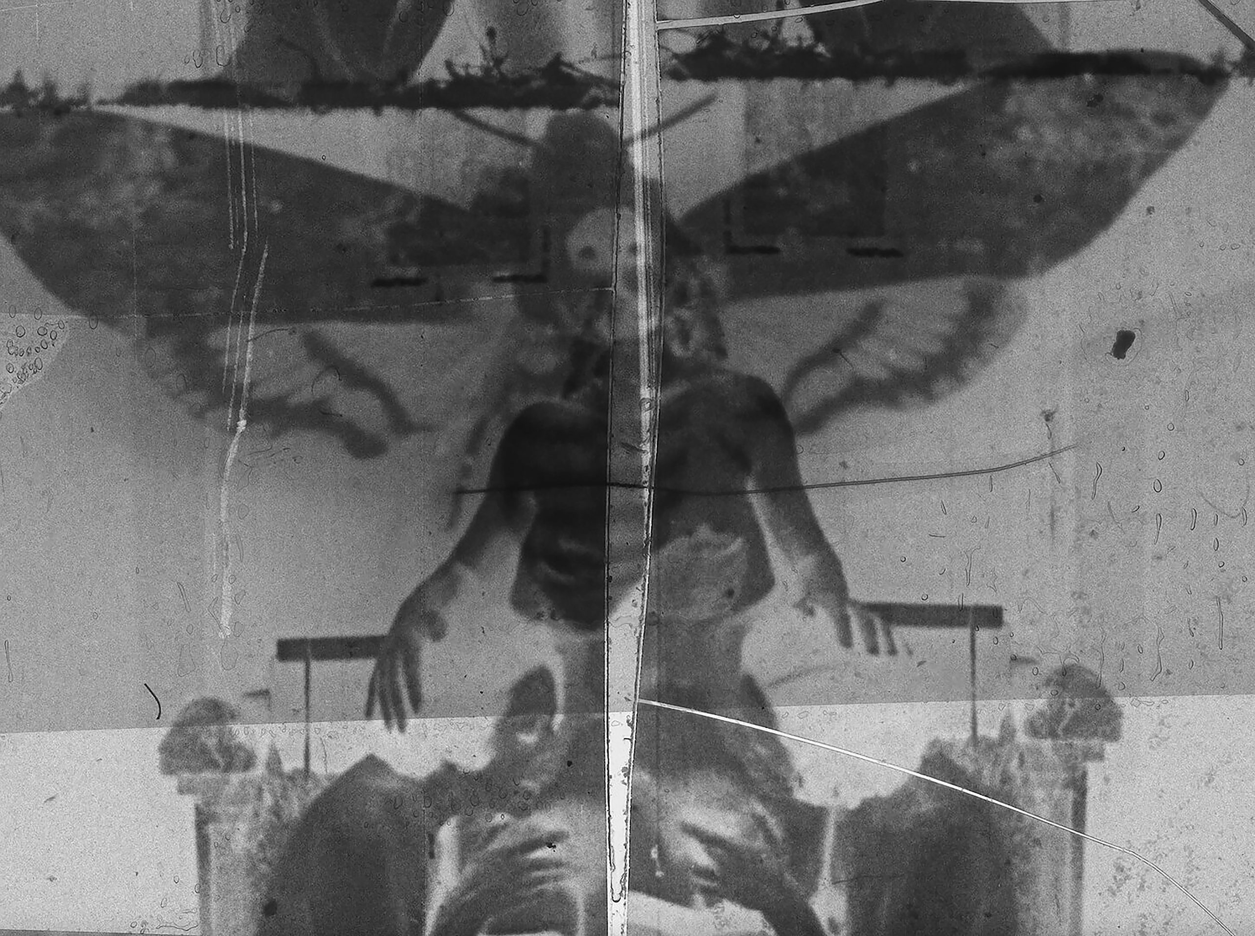 Film Negativo/Positivo