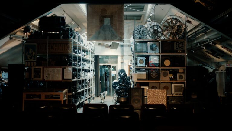 L’archivio in sala