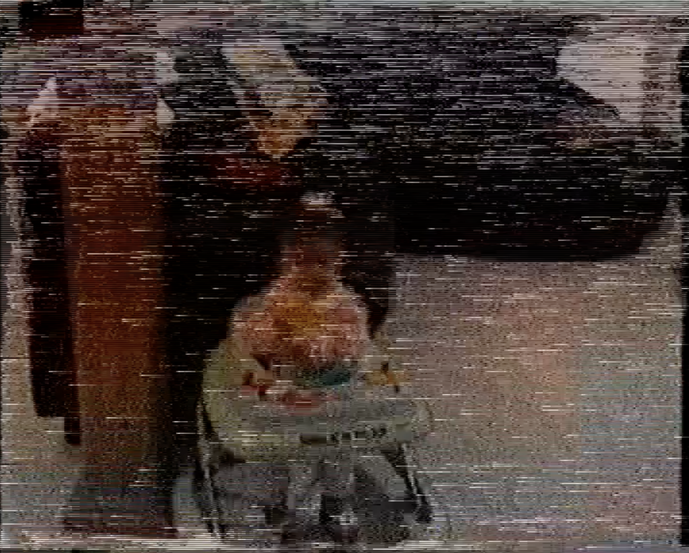 MissingNo