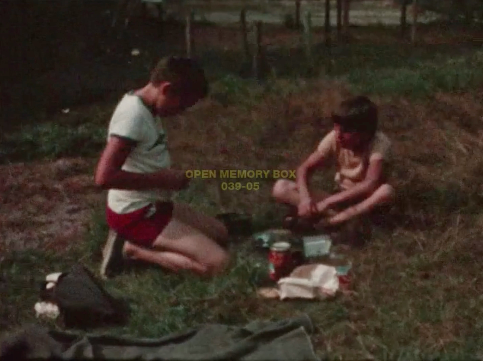 Notes pour un déjeuner sur l’herbe