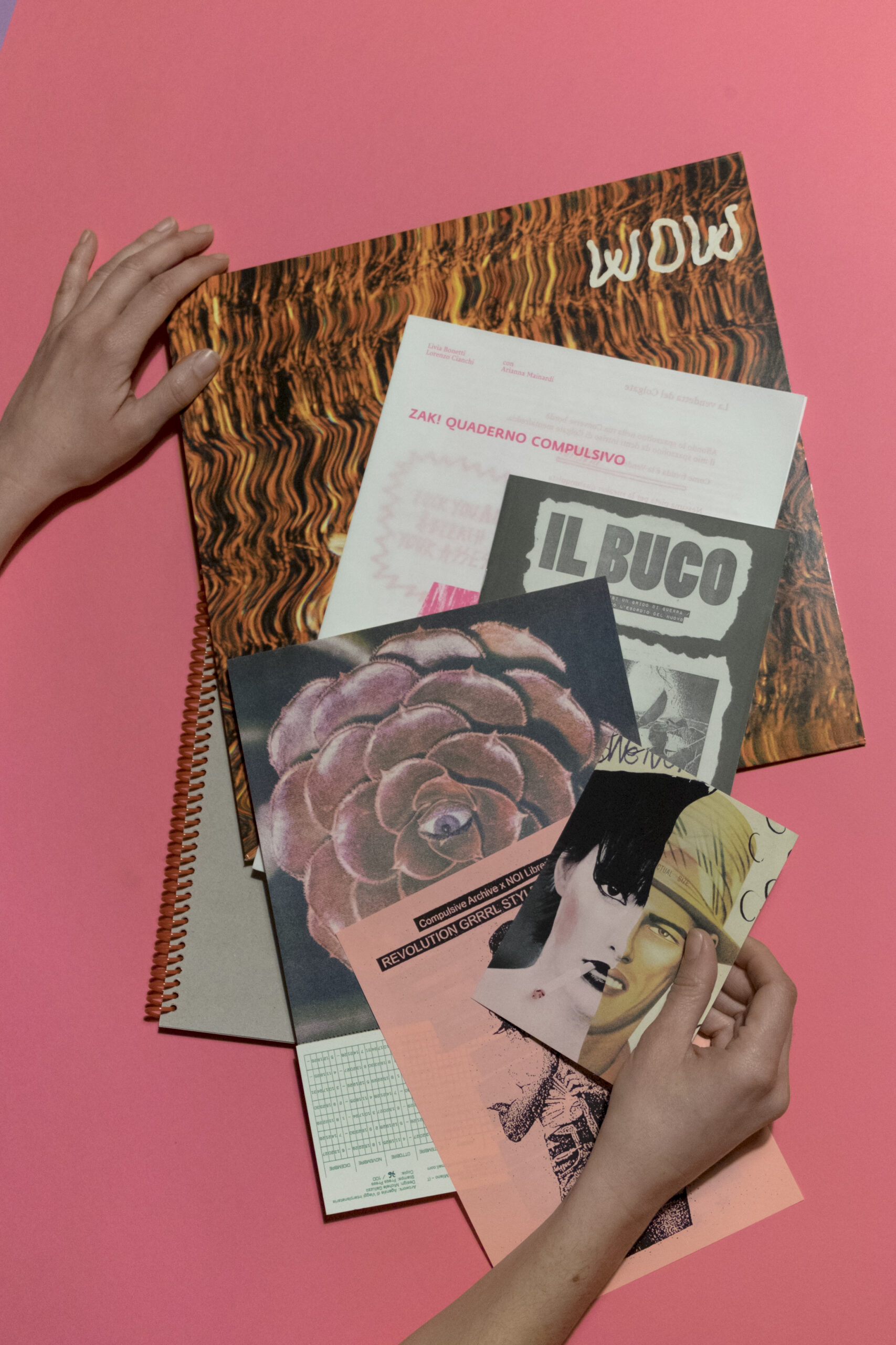 La rivista che non era un giornale. Fanzine e memoria delle culture giovanili italiane anni Novanta-Duemila