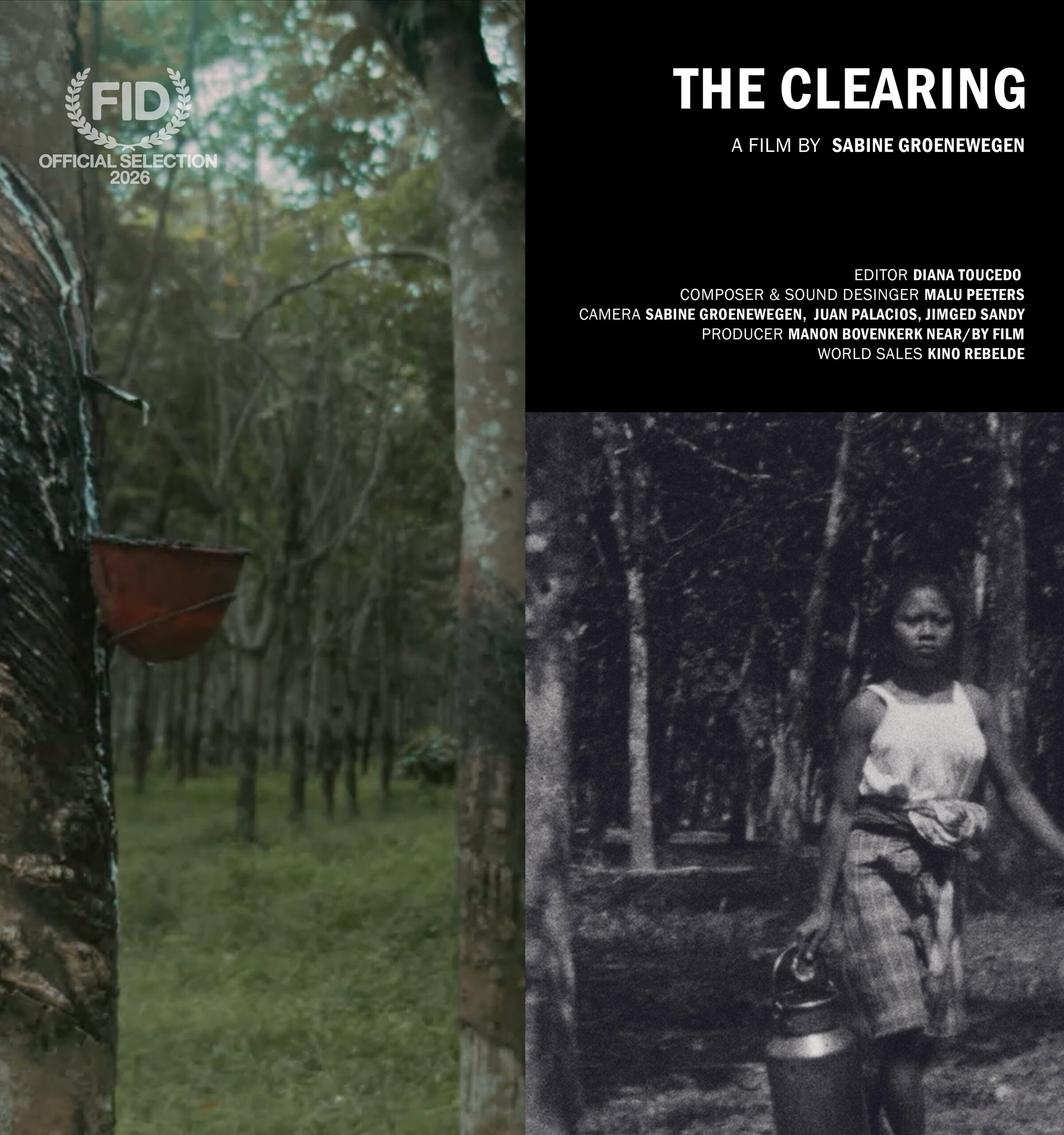 The Clearing